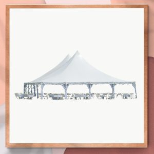 Düğün Çadırı Model 9